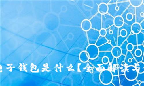 虚拟币电子钱包是什么？全面解读与使用指南