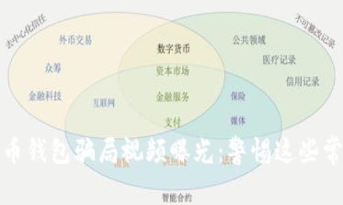 加密货币钱包骗局视频曝光：警惕这些常见陷阱