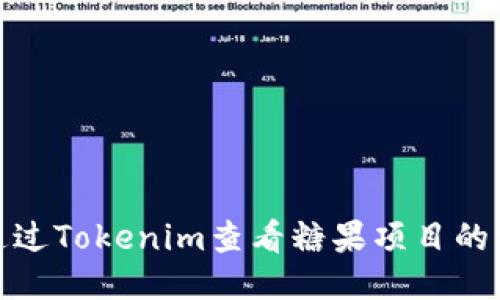 : 如何通过Tokenim查看糖果项目的详细信息