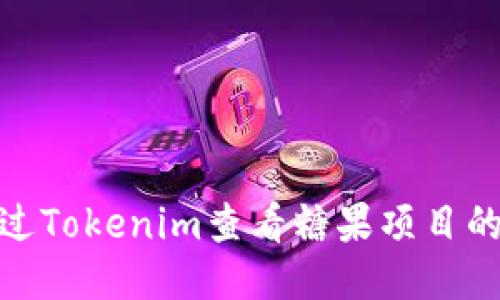 : 如何通过Tokenim查看糖果项目的详细信息