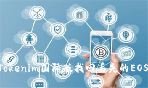 如何通过Tokenim国际版找回丢失的EOS：详细指南