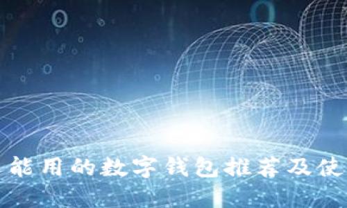 国内还能用的数字钱包推荐及使用攻略