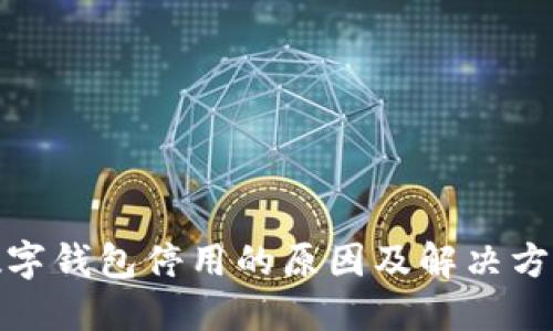 数字钱包停用的原因及解决方案