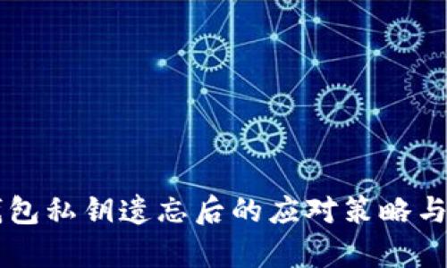 虚拟币钱包私钥遗忘后的应对策略与恢复方法