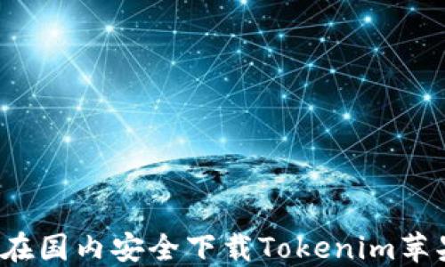 
如何在国内安全下载Tokenim苹果版？