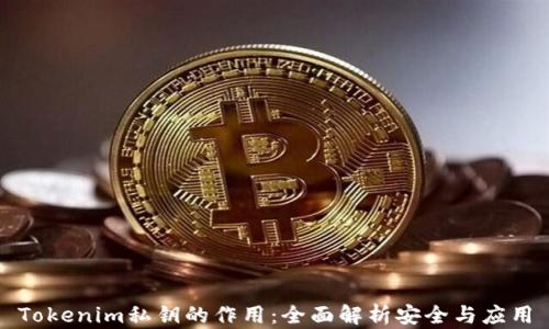 
Tokenim私钥的作用：全面解析安全与应用