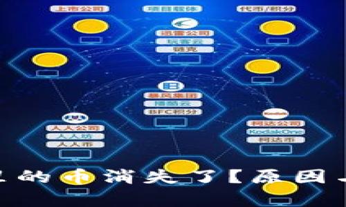 Tokenim钱包里的币消失了？原因与解决方案解析