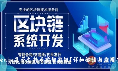 Tokenim是否支持币安智能链？详细解读与应用案例