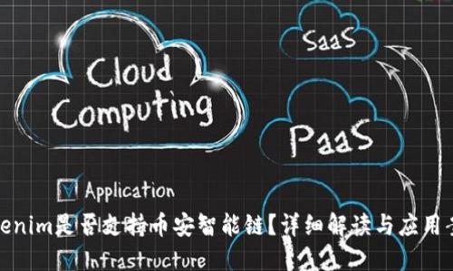 Tokenim是否支持币安智能链？详细解读与应用案例