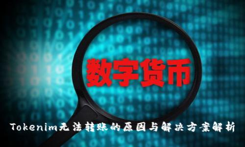Tokenim无法转账的原因与解决方案解析