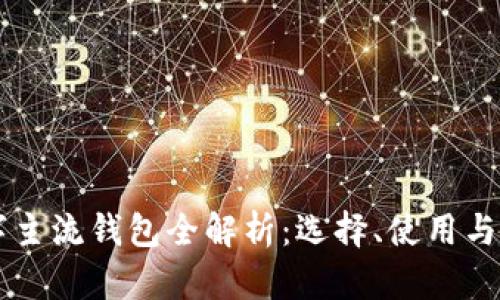 区块链数字主流钱包全解析：选择、使用与安全性指南