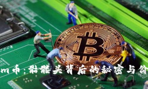 Tokenim币：骷髅头背后的秘密与价值解析