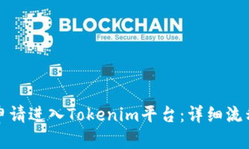 如何申请进入Tokenim平台：详细流程解析