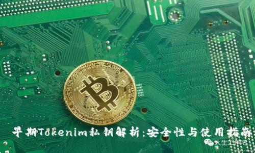 早期Tokenim私钥解析：安全性与使用指南