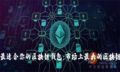 如何选择最适合你的区块链钱包：市场上最大的区块链钱包分析