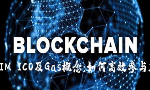 : 详解TokenIM ICO及Gas概念：如何高效参与加密项目投资