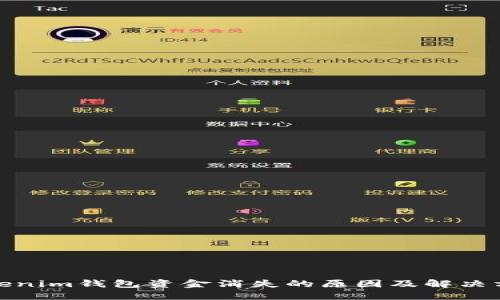 Tokenim钱包资金消失的原因及解决方案