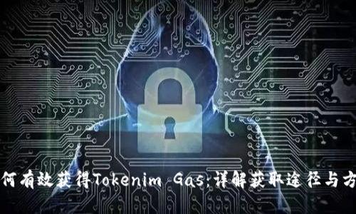 如何有效获得Tokenim Gas：详解获取途径与方法