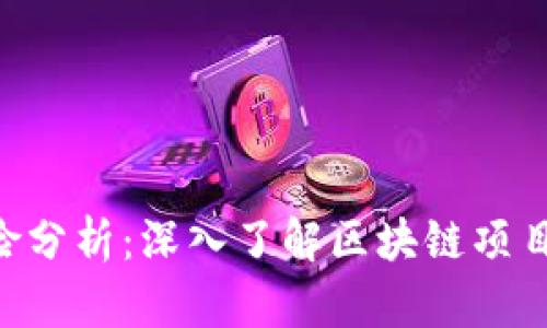 Tokenim风险分析：深入了解区块链项目的潜在威胁