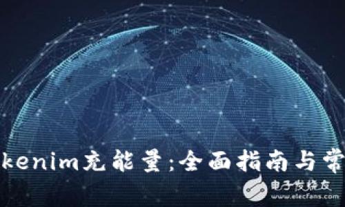 如何使用Tokenim充能量：全面指南与常见问题解答
