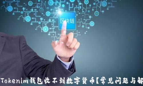 
为什么Tokenim钱包收不到数字货币？常见问题与解决方案