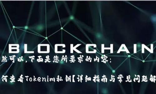 当然可以，下面是您所要求的内容：

如何查看Tokenim私钥？详细指南与常见问题解答