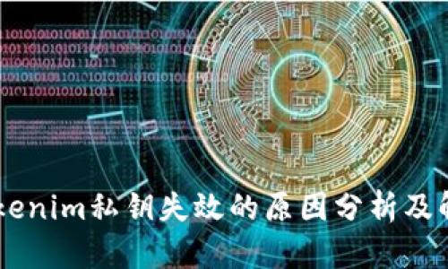 ## Tokenim私钥失效的原因分析及解决方案