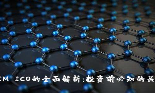TokenIM ICO的全面解析：投资前必知的关键要素