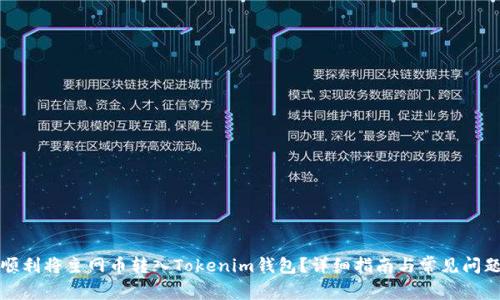 如何顺利将主网币转入Tokenim钱包？详细指南与常见问题解答