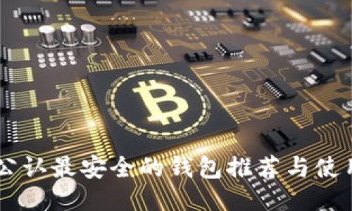 币圈公认最安全的钱包推荐与使用指南