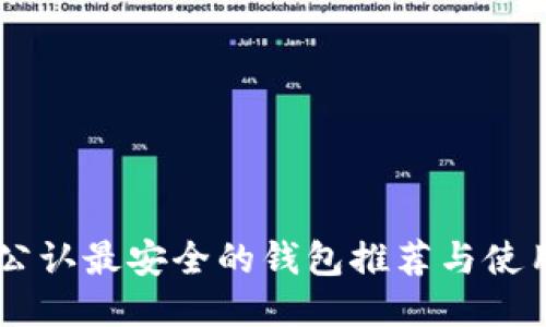 币圈公认最安全的钱包推荐与使用指南