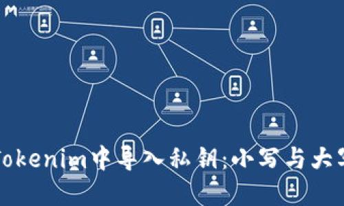 如何在Tokenim中导入私钥：小写与大写的区别