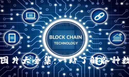 区块链钱包图片大全集：一站了解各种数字货币钱包