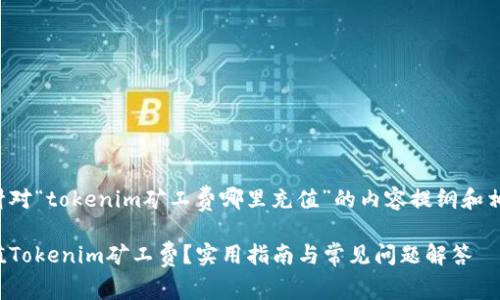 以下是针对“tokenim矿工费哪里充值”的内容提纲和相关信息。

如何充值Tokenim矿工费？实用指南与常见问题解答