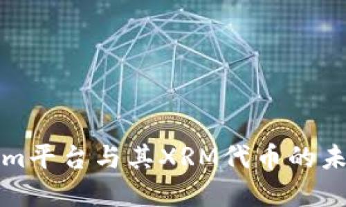Tokenim平台与其XRM代币的未来展望