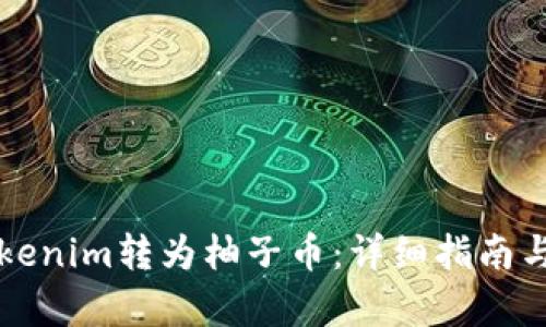 如何将Tokenim转为柚子币：详细指南与步骤解析