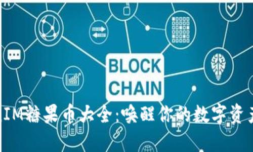 TokenIM糖果币大全：唤醒你的数字资产之旅