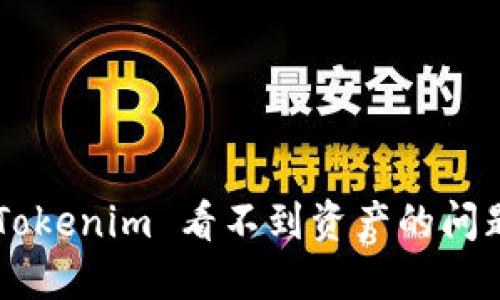 如何解决 Tokenim 看不到资产的问题：详细指南