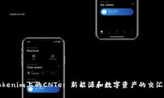 Tokenim上的CNTe: 新能源和数