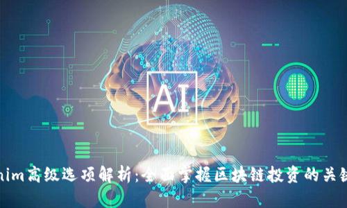 Tokenim高级选项解析：全面掌握区块链投资的关键工具