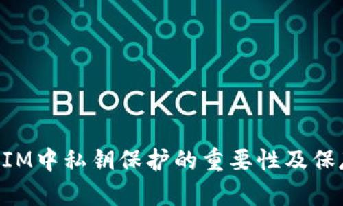 TokenIM中私钥保护的重要性及保存方法