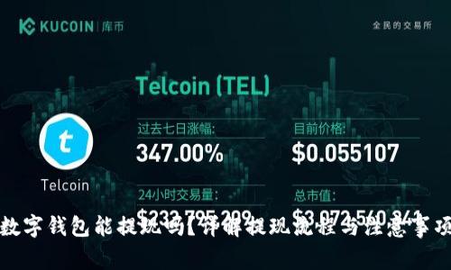 数字钱包能提现吗？详解提现流程与注意事项