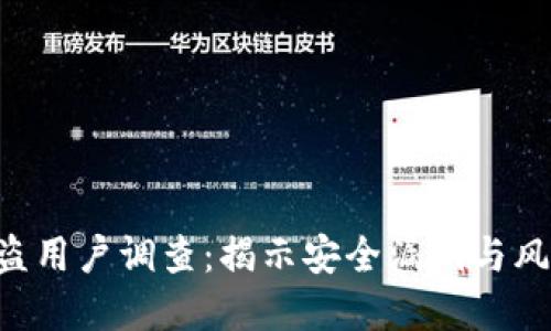Tokenim被盗用户调查：揭示安全漏洞与风险防范措施