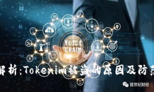深入解析：Tokenim被盗的原因及防范措施