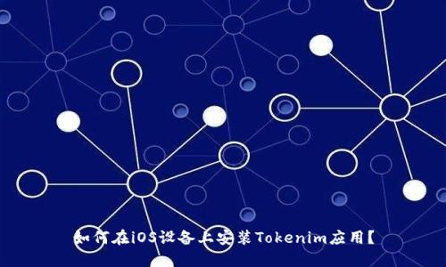 如何在iOS设备上安装Tokenim应用？