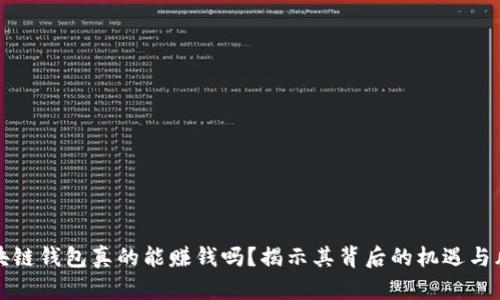 区块链钱包真的能赚钱吗？揭示其背后的机遇与风险