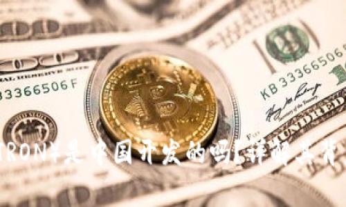 波场币（TRON）是中国开发的吗？详解其背后的故事