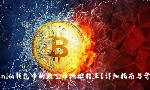如何将Tokenim钱包中的太空币地址转正？详细指南与常见问题解答