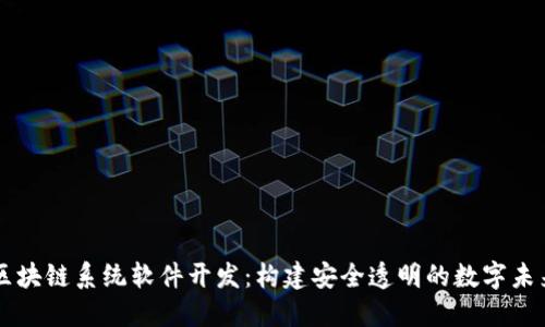 区块链系统软件开发：构建安全透明的数字未来