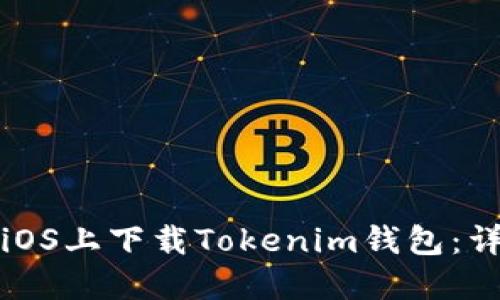 如何在iOS上下载Tokenim钱包：详细指南